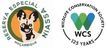 HWC management outline for Niassa Special Reserve